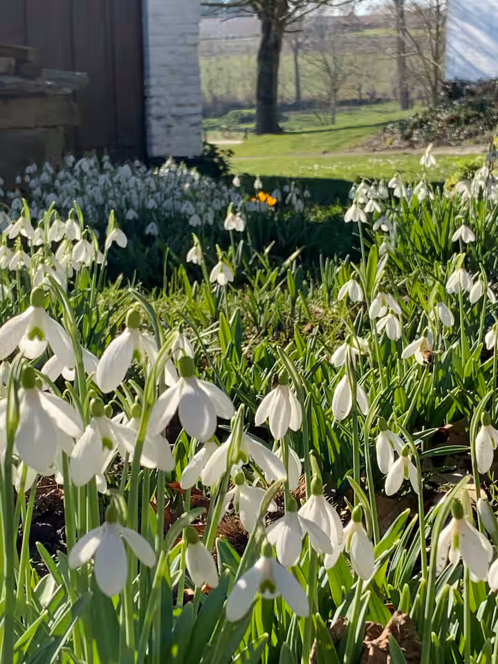 Tuin & terras — Hors Saison